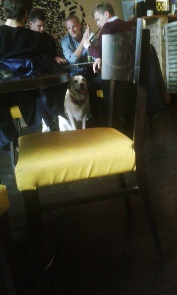 11094326_10205309121105718_1062344695_n