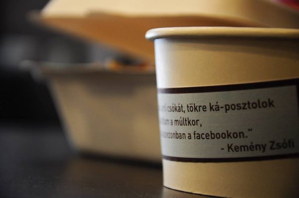 11304071_1596744080602454_1593813501_n